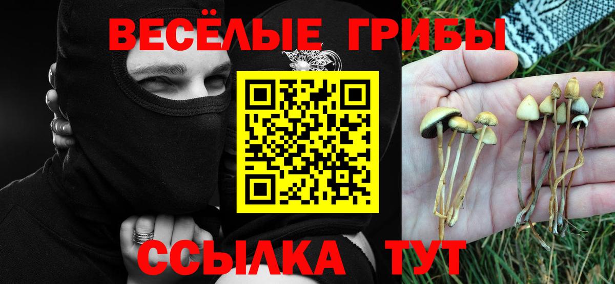 Псилоцибиновые грибы Cubensis  магазин продажи наркотиков  Лесосибирск  Вход с VPN  Галлюциногенные грибы Magic Shrooms 